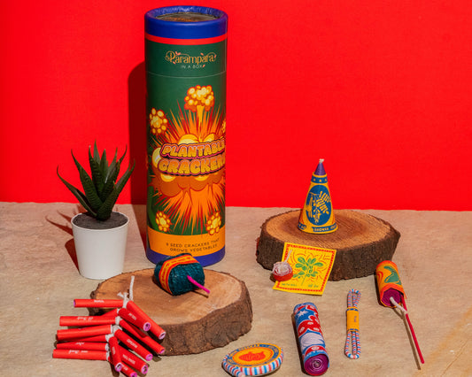 Parampara Plantable Crackers