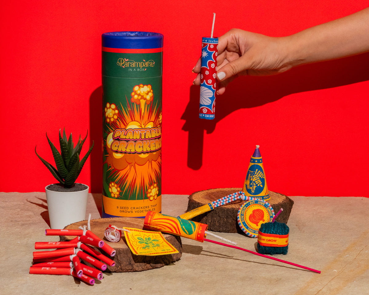 Parampara Plantable Crackers Pack