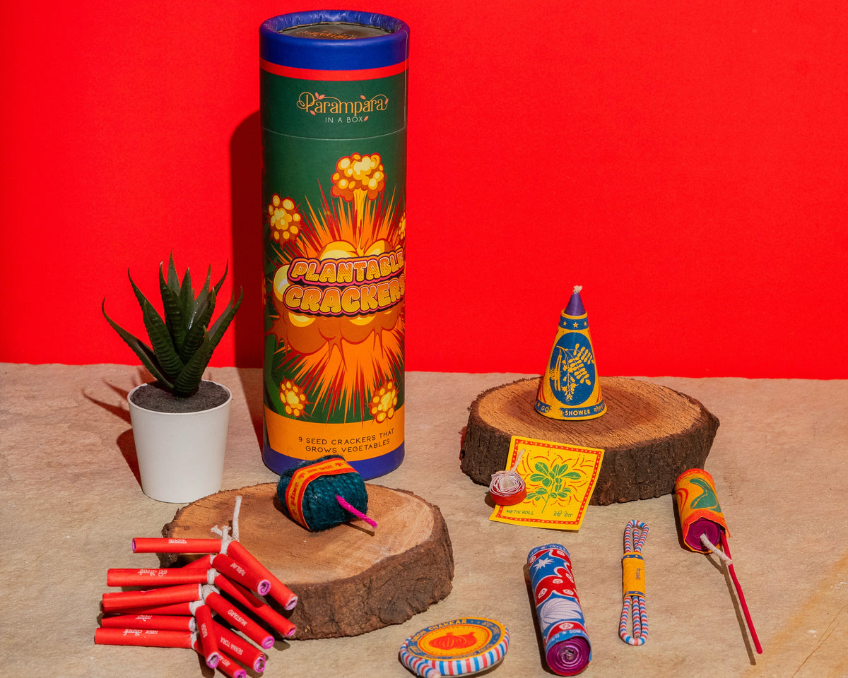 Parampara Plantable Crackers